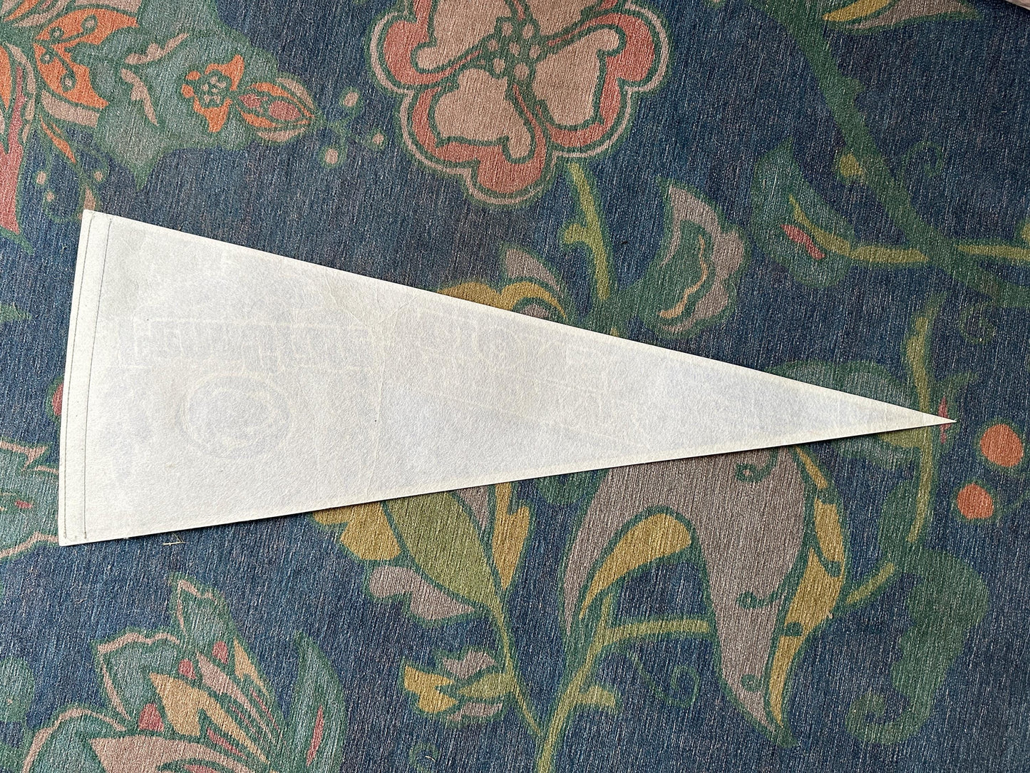 1990s Penn State Nittany Lions NCAA Felt Pennant