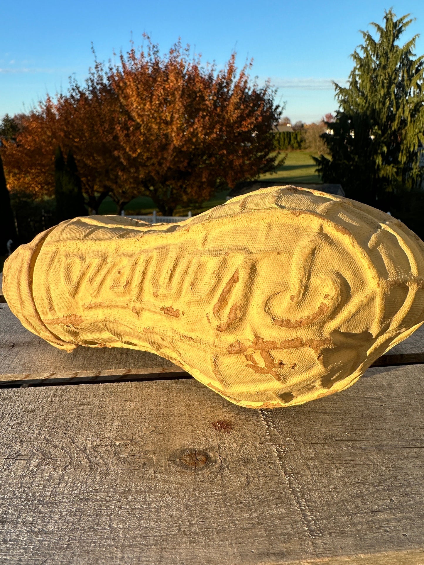 Planters Peanut Pressed Cardboard Paper Mache Container - Vintage Store Display Advertising