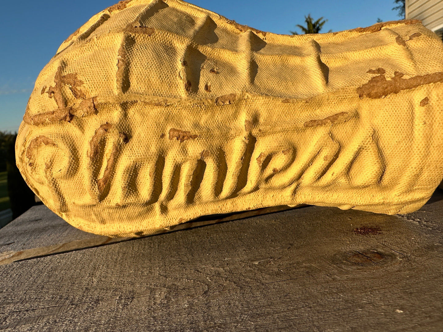 Planters Peanut Pressed Cardboard Paper Mache Container - Vintage Store Display Advertising