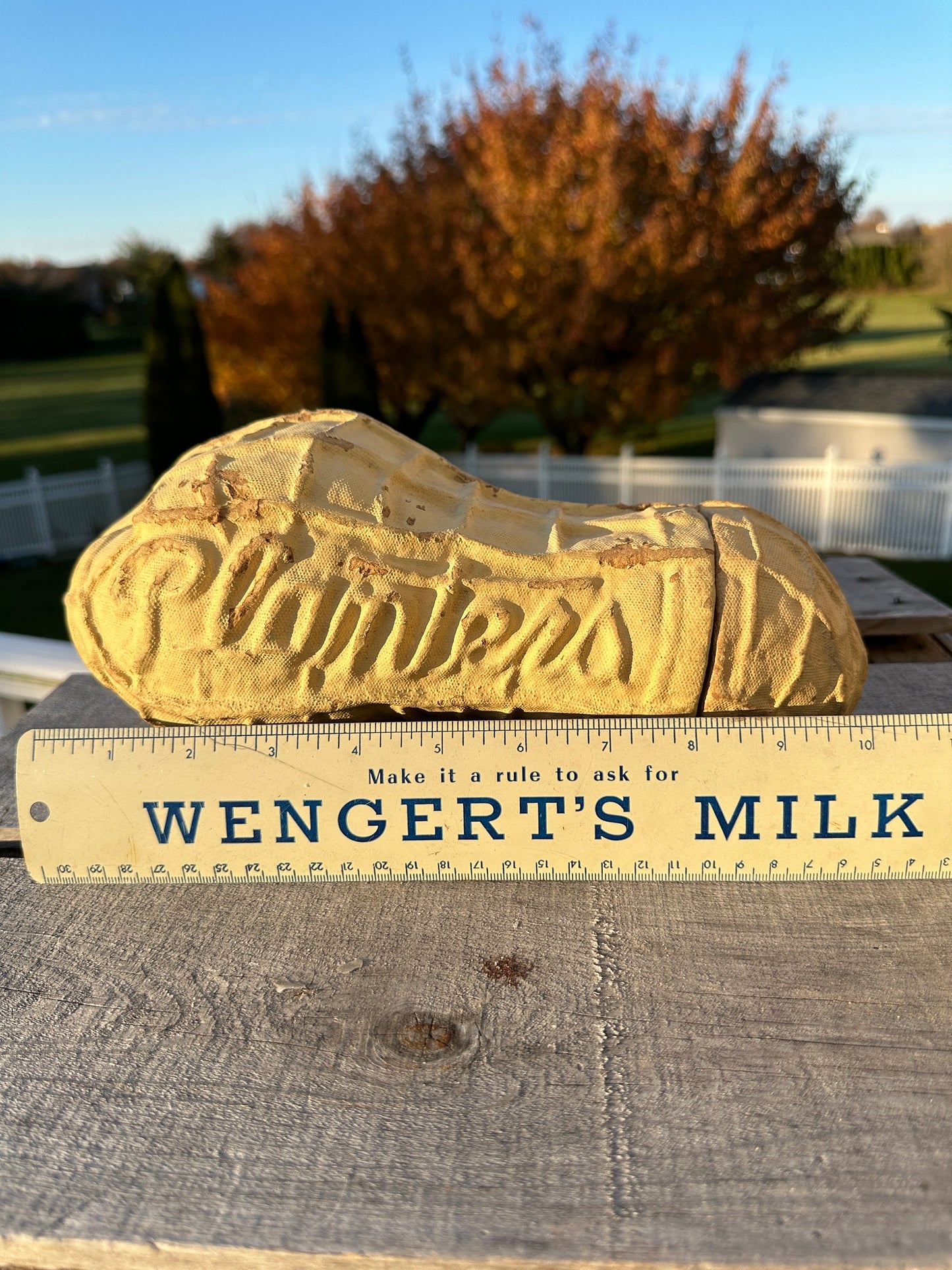 Planters Peanut Pressed Cardboard Paper Mache Container - Vintage Store Display Advertising