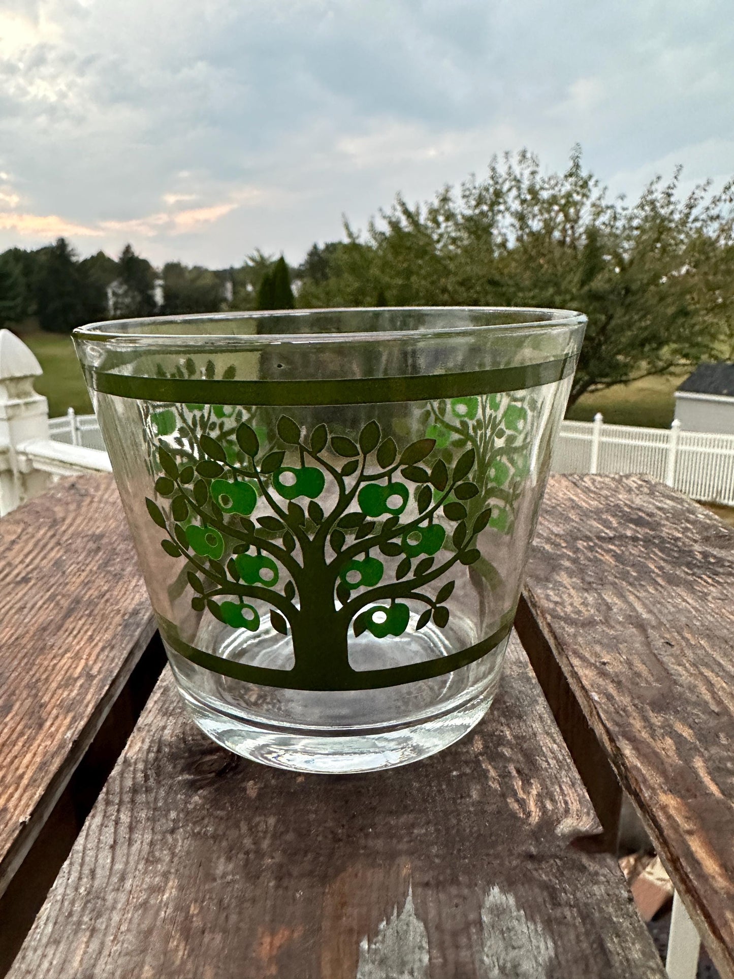 Vintage Colony Glass Ice Bucket Set: MCM Apple Tree Barware