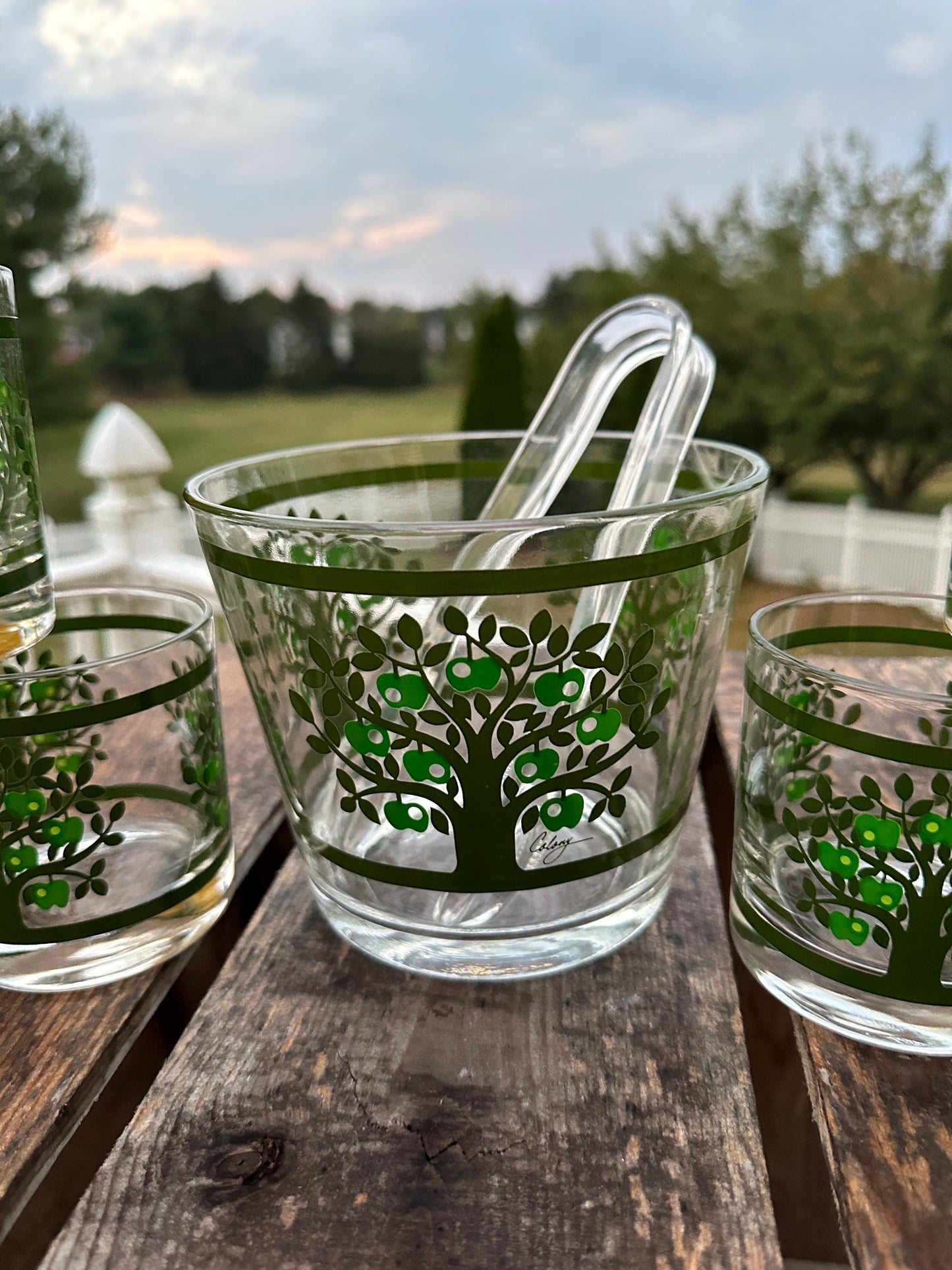 Vintage Colony Glass Ice Bucket Set: MCM Apple Tree Barware