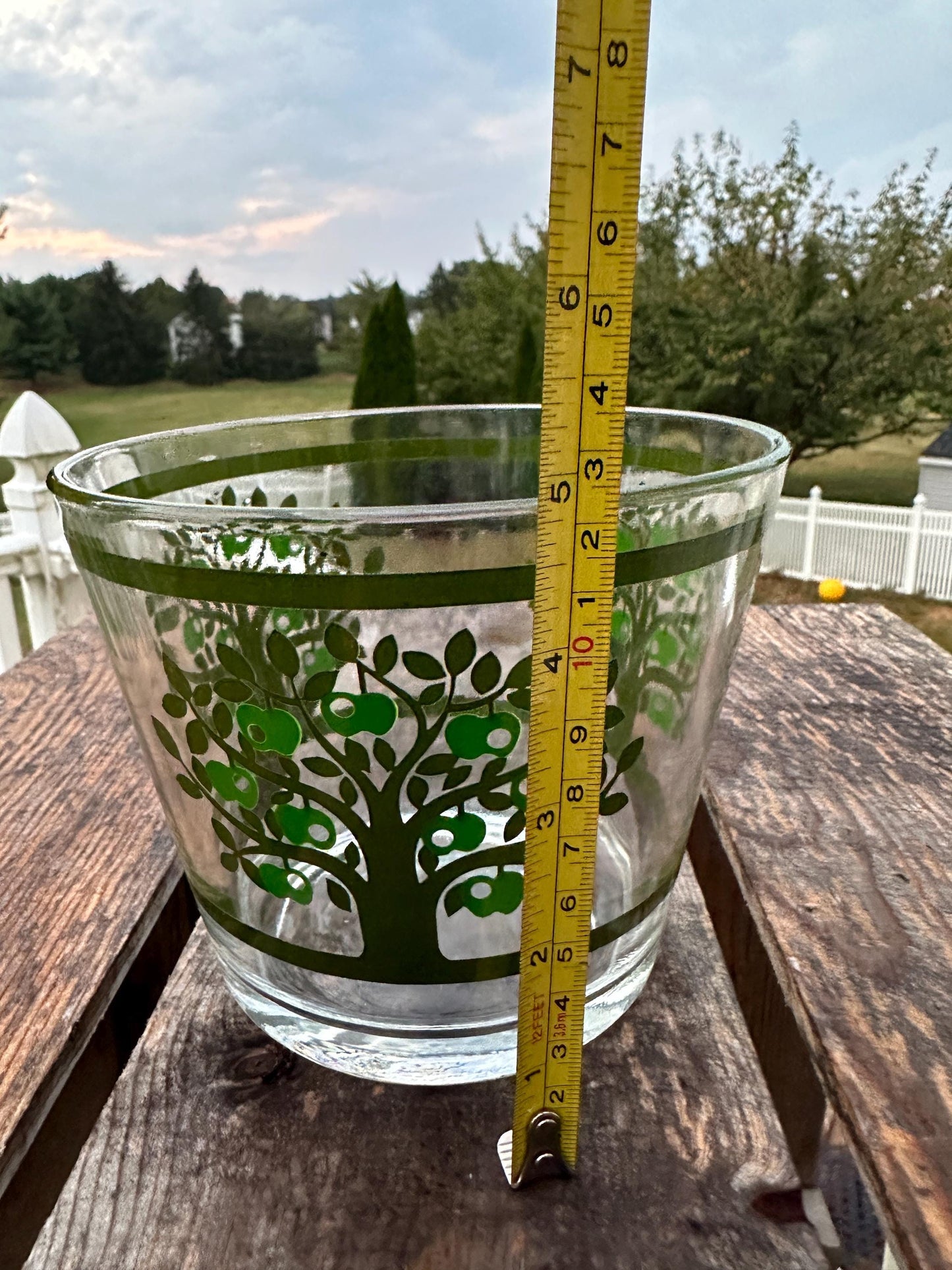 Vintage Colony Glass Ice Bucket Set: MCM Apple Tree Barware
