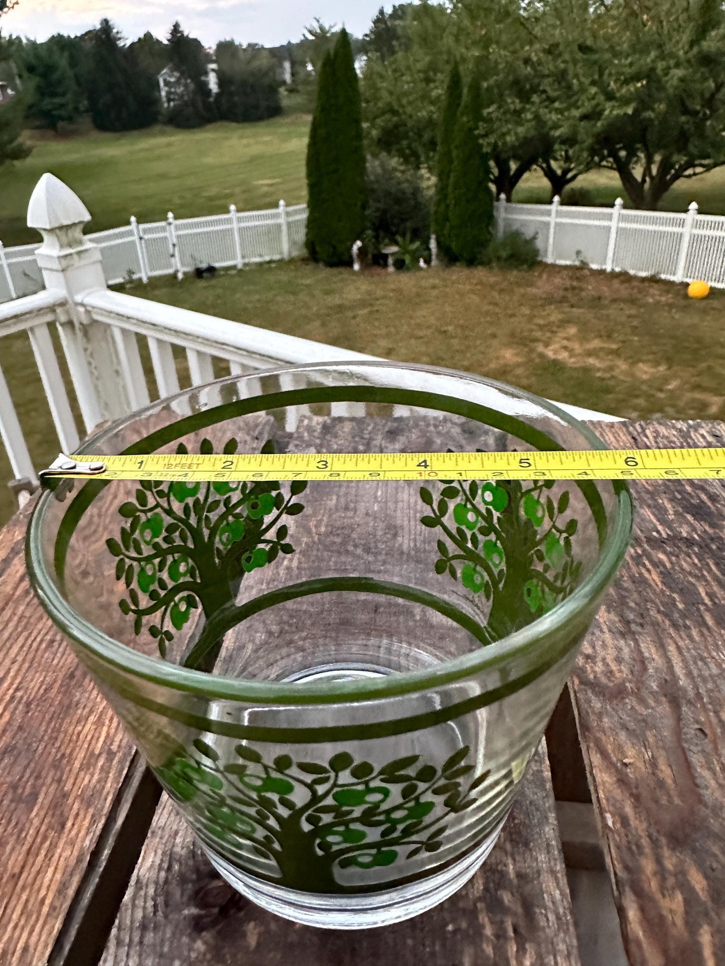 Vintage Colony Glass Ice Bucket Set: MCM Apple Tree Barware