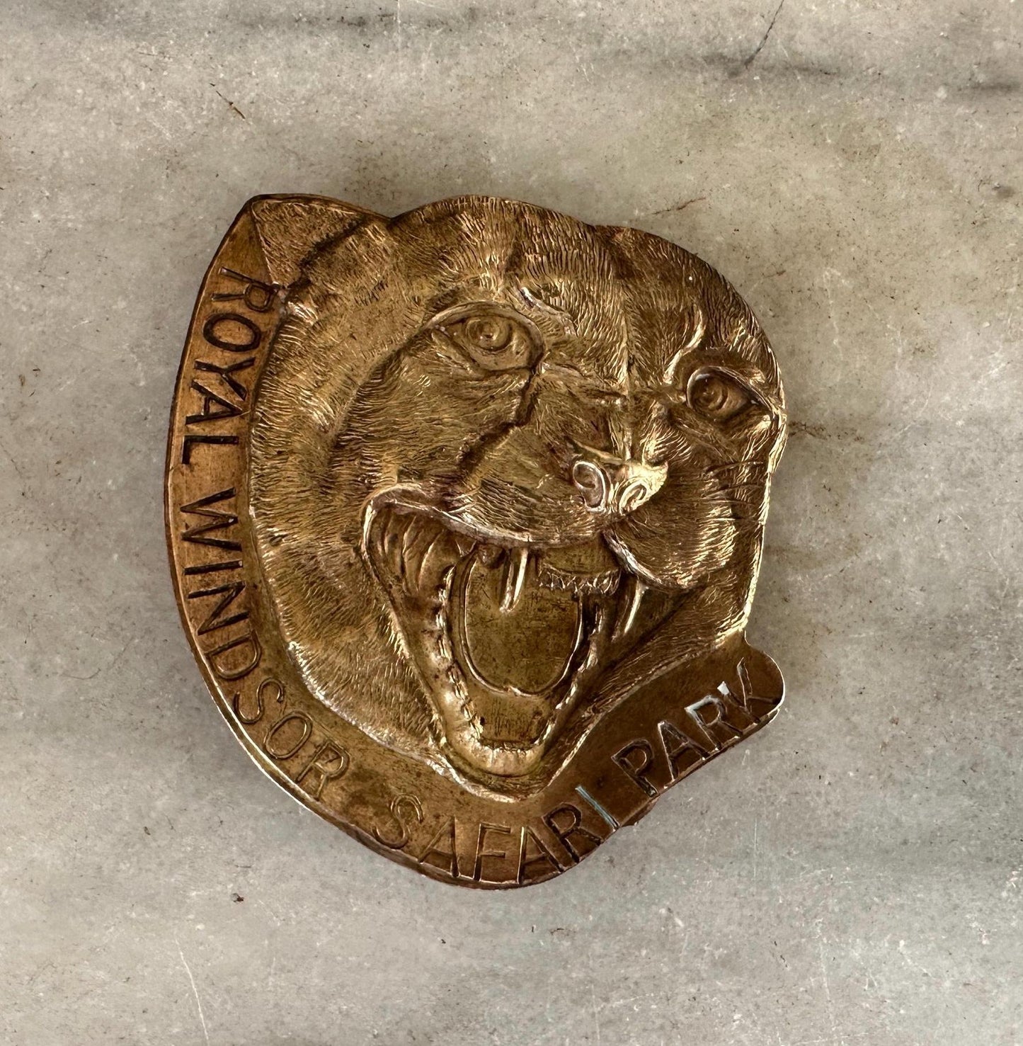 Vintage “Royal Windsor Safari Park” Roaring Wildcat Brass Belt Buckle England