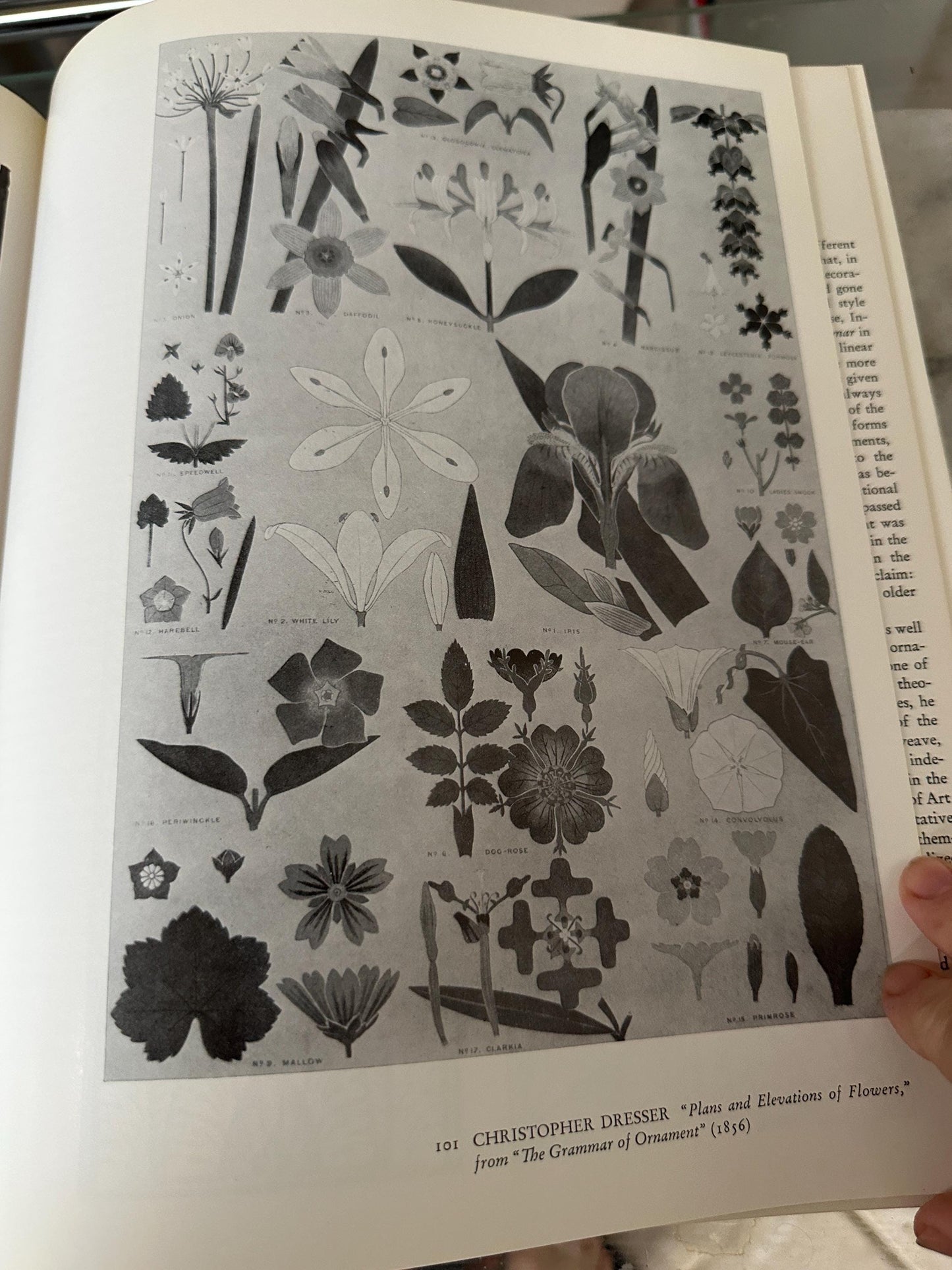 1962 Art Nouveau Book by Robert Schmutzler: First American Edition Hardcover