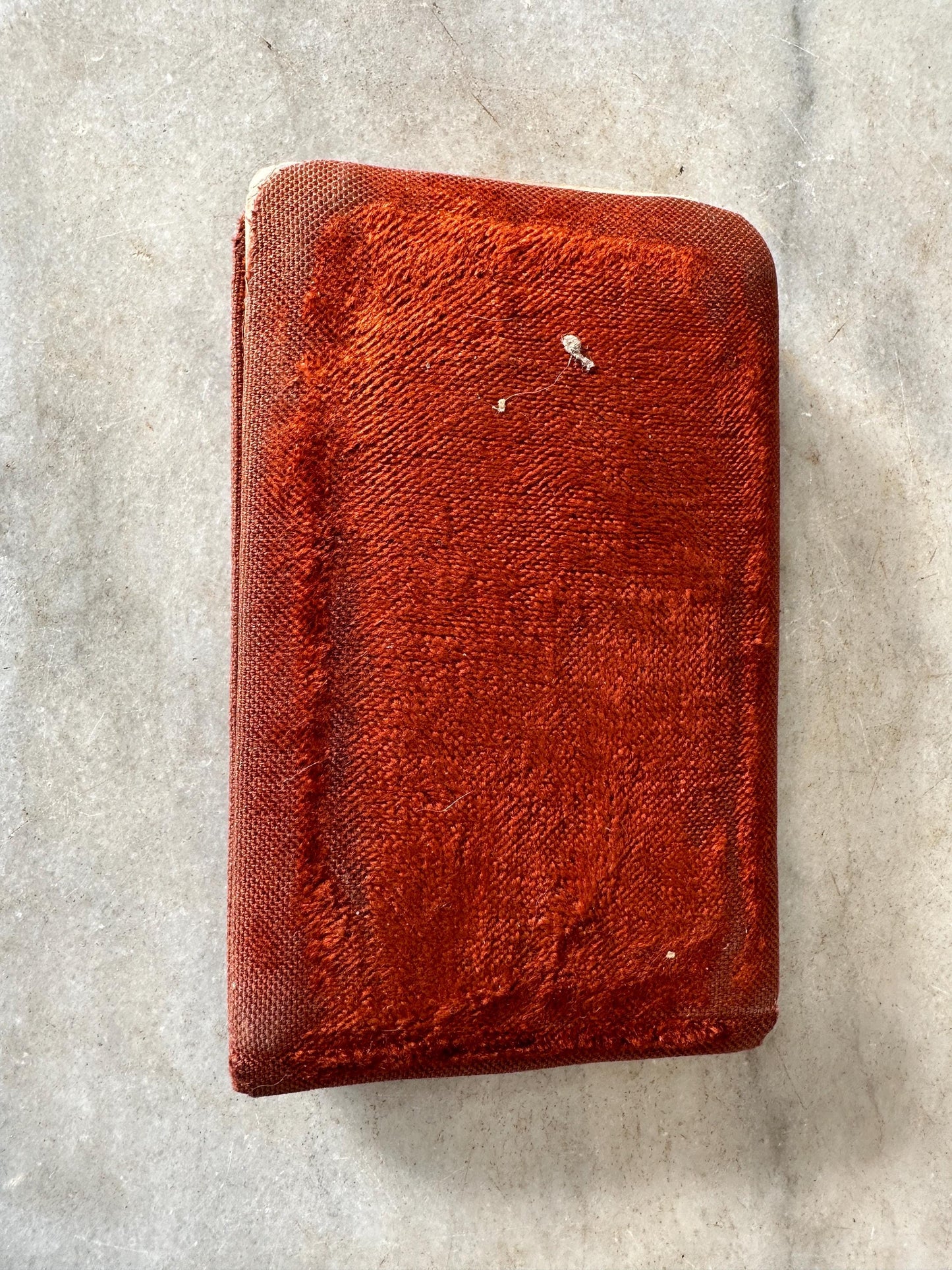 Antique Red Velvet Autograph Book: Victorian Metal Plate, Handwritten Messages