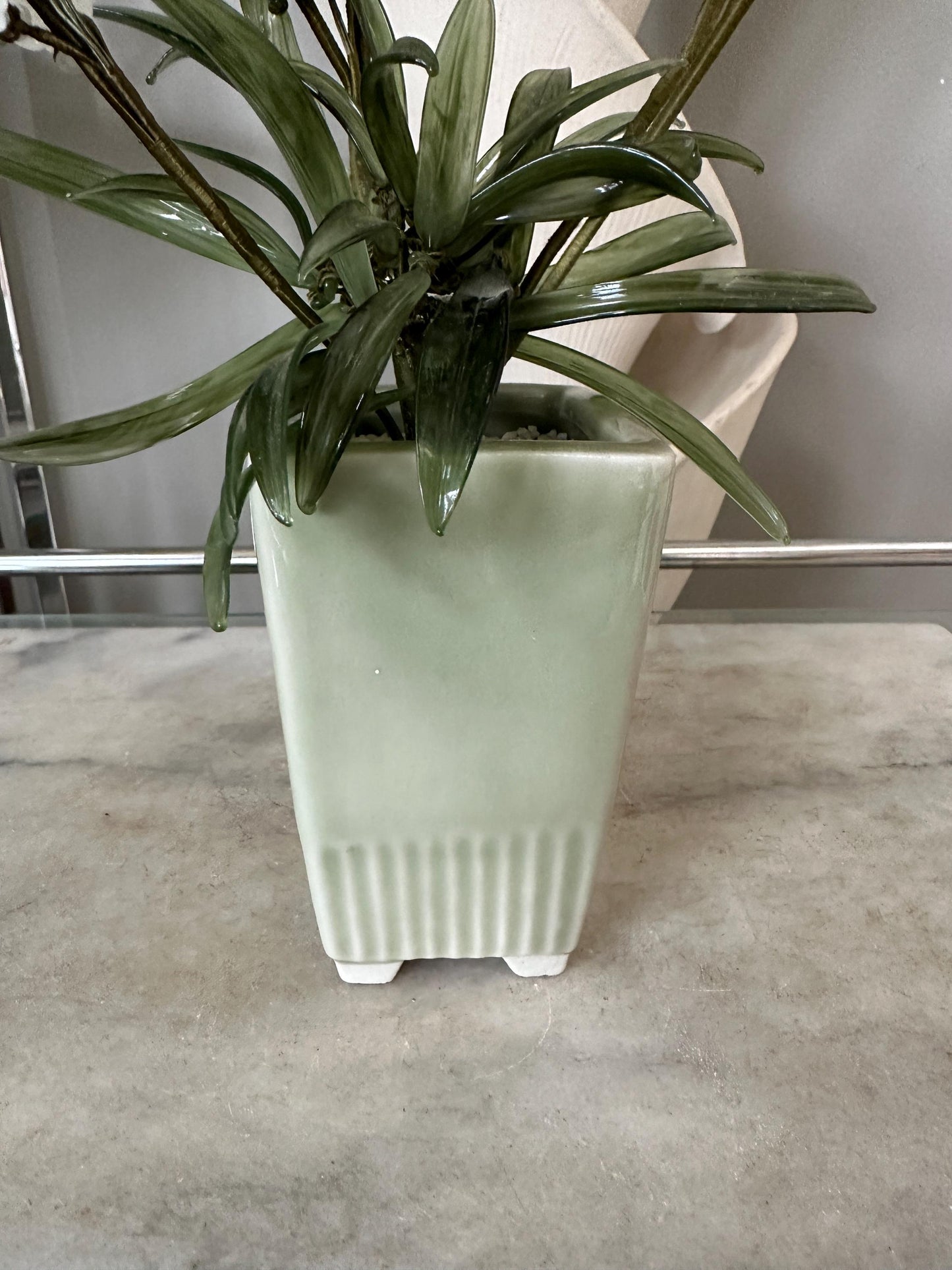 MCM Glass Asian Spider Plant in Celadon-Style Planter – 12” Tall