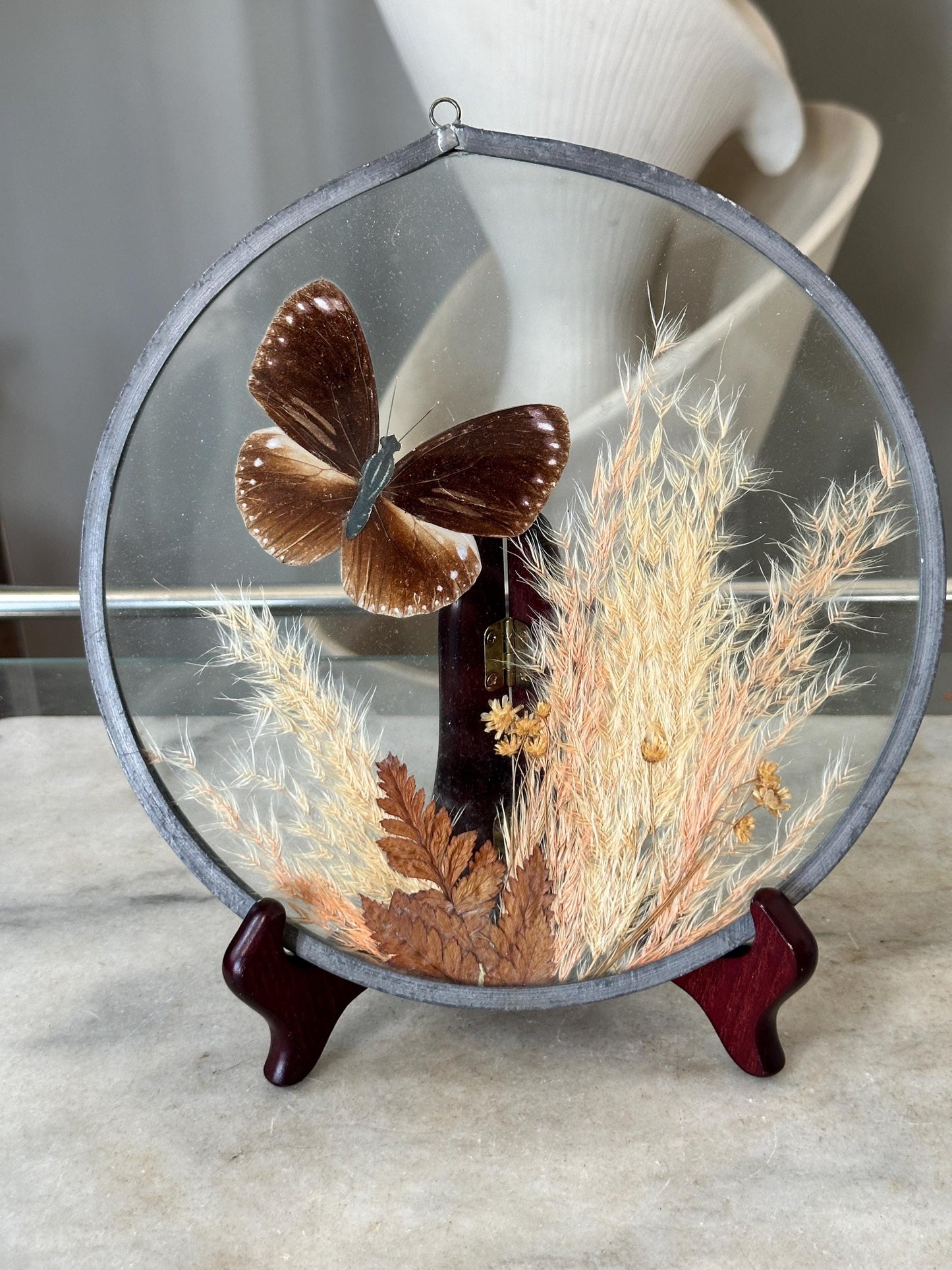 Framed Brown Eggfly Butterfly Taxidermy Display Under Glass | Real Butterfly & Dried Pampas Grass | Nature Wall Art