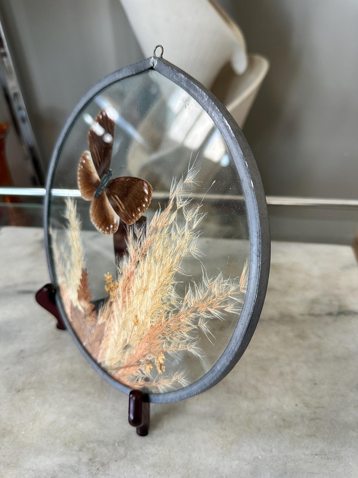 Framed Brown Eggfly Butterfly Taxidermy Display Under Glass | Real Butterfly & Dried Pampas Grass | Nature Wall Art
