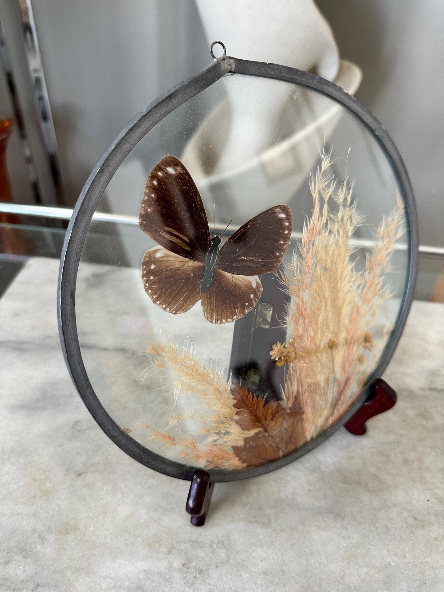 Framed Brown Eggfly Butterfly Taxidermy Display Under Glass | Real Butterfly & Dried Pampas Grass | Nature Wall Art