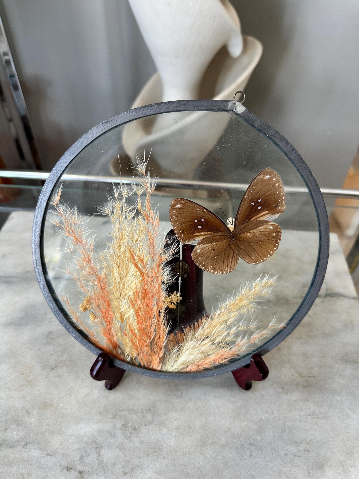 Framed Brown Eggfly Butterfly Taxidermy Display Under Glass | Real Butterfly & Dried Pampas Grass | Nature Wall Art