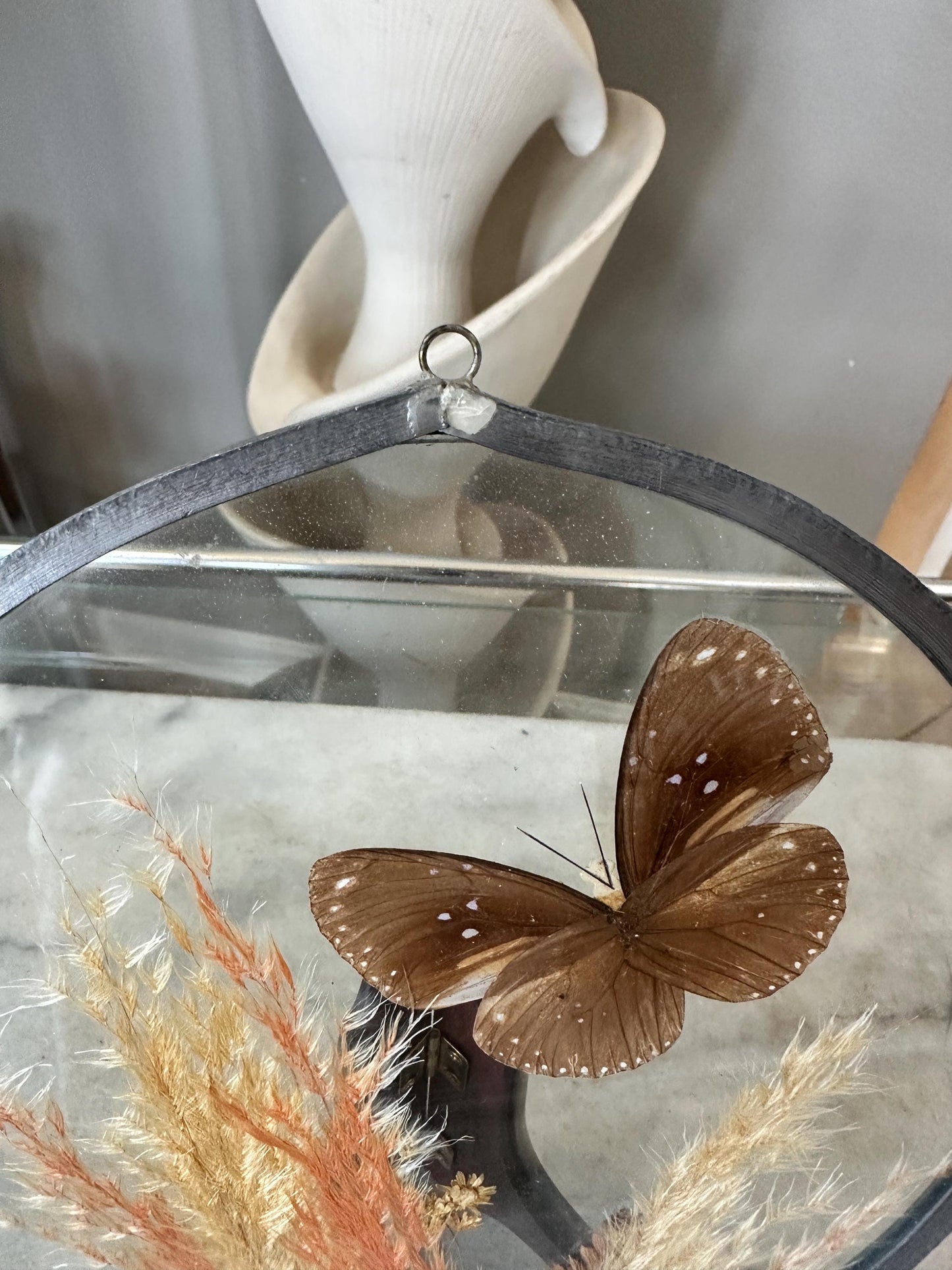 Framed Brown Eggfly Butterfly Taxidermy Display Under Glass | Real Butterfly & Dried Pampas Grass | Nature Wall Art