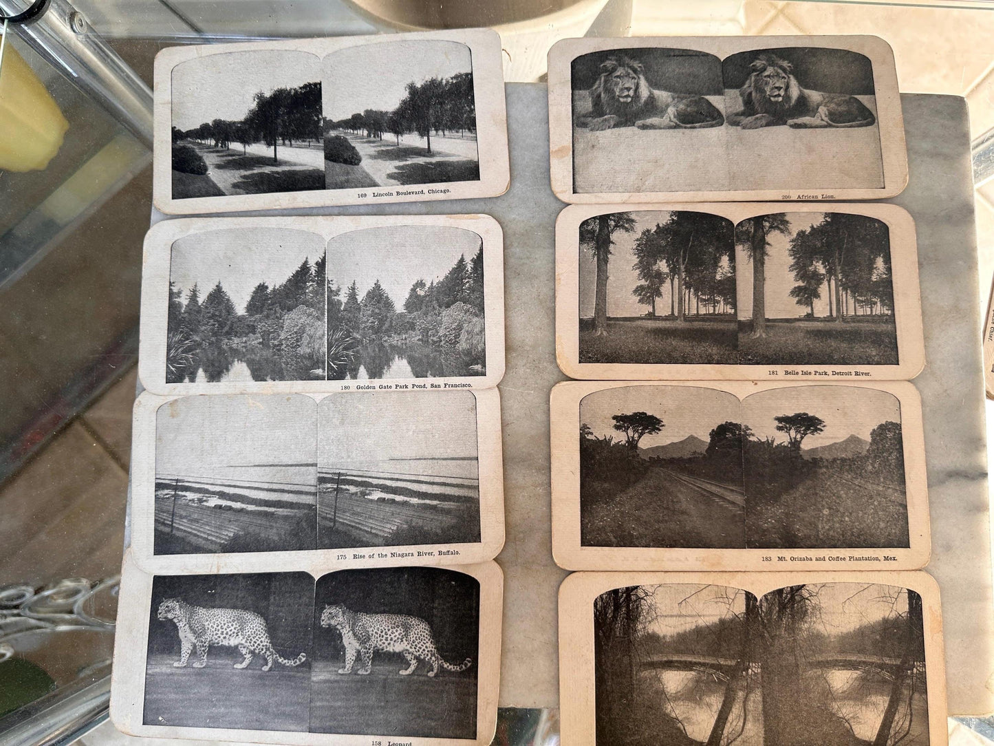 Antique 1800s Stereoscope Steroview Cards Collection | Double-Sided Victorian Stereoview Slides | Antique Photography & Optical Ephemera