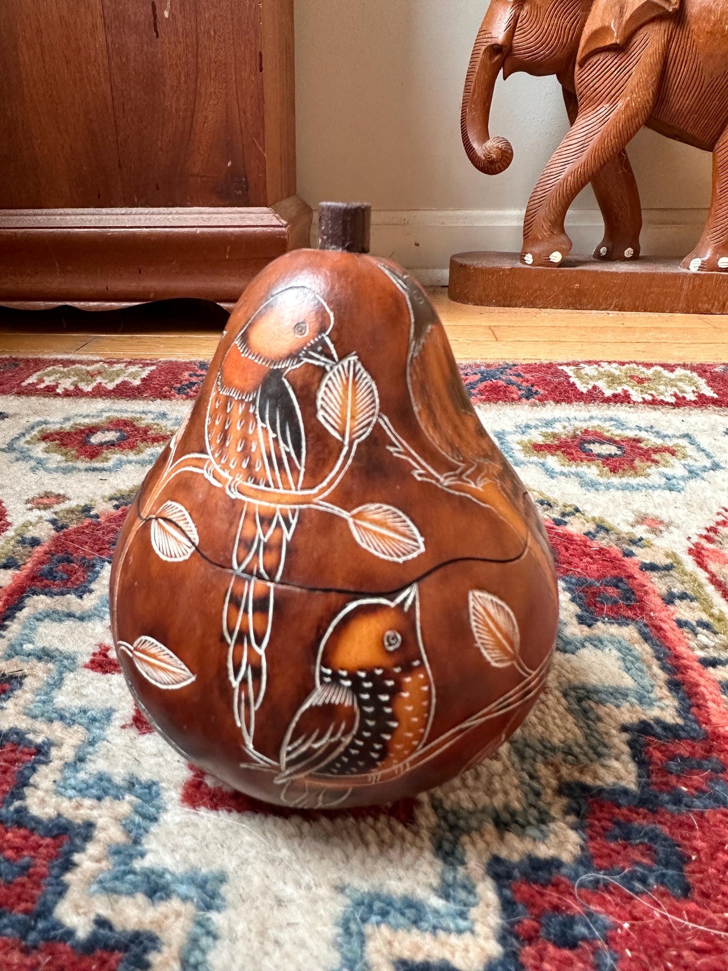 Peruvian Hand-Carved Gourd Box | Mate Burilado Folk Art Trinket Container | Pyrography & Etched Birds and Botanical Design