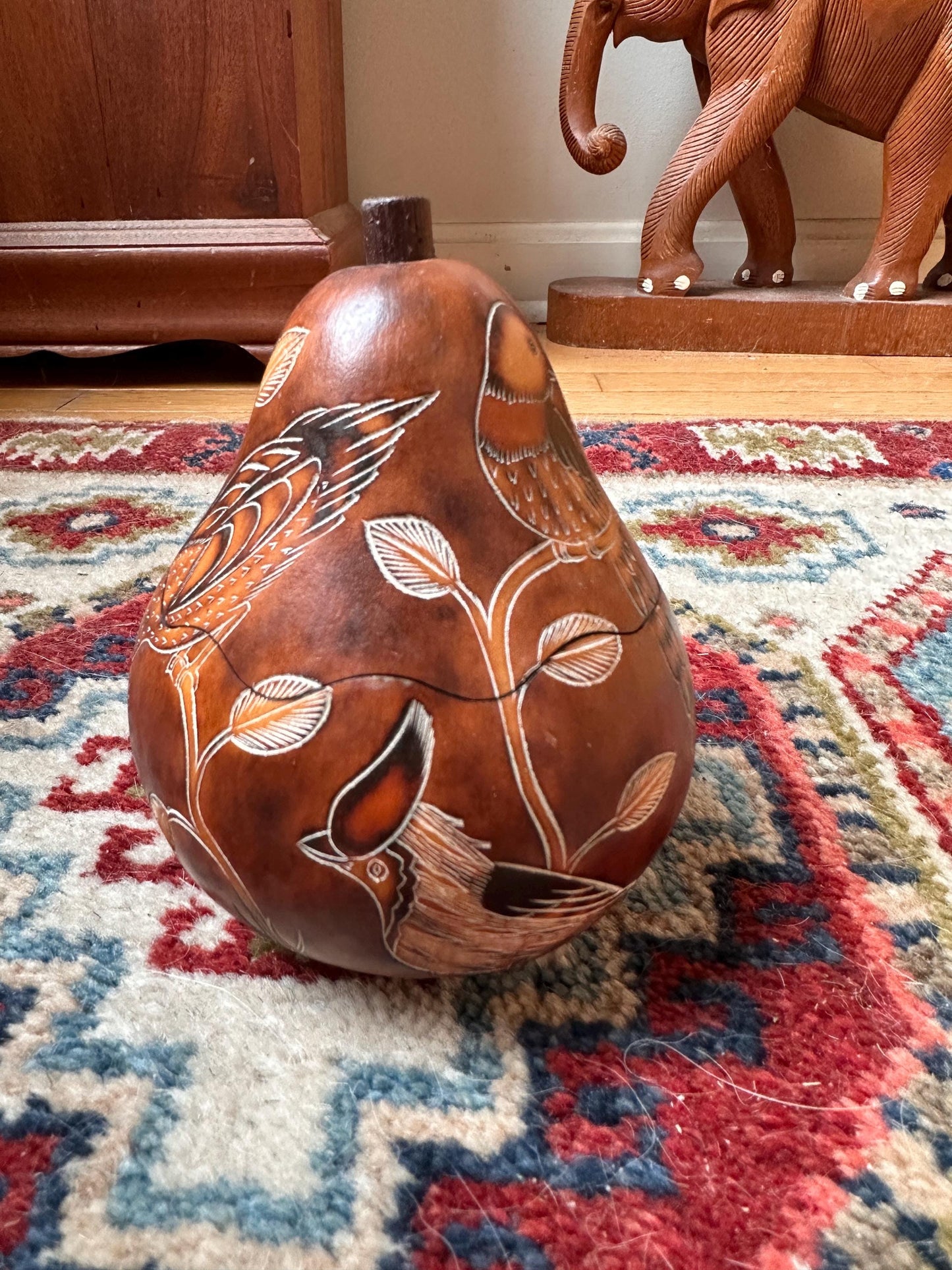 Peruvian Hand-Carved Gourd Box | Mate Burilado Folk Art Trinket Container | Pyrography & Etched Birds and Botanical Design
