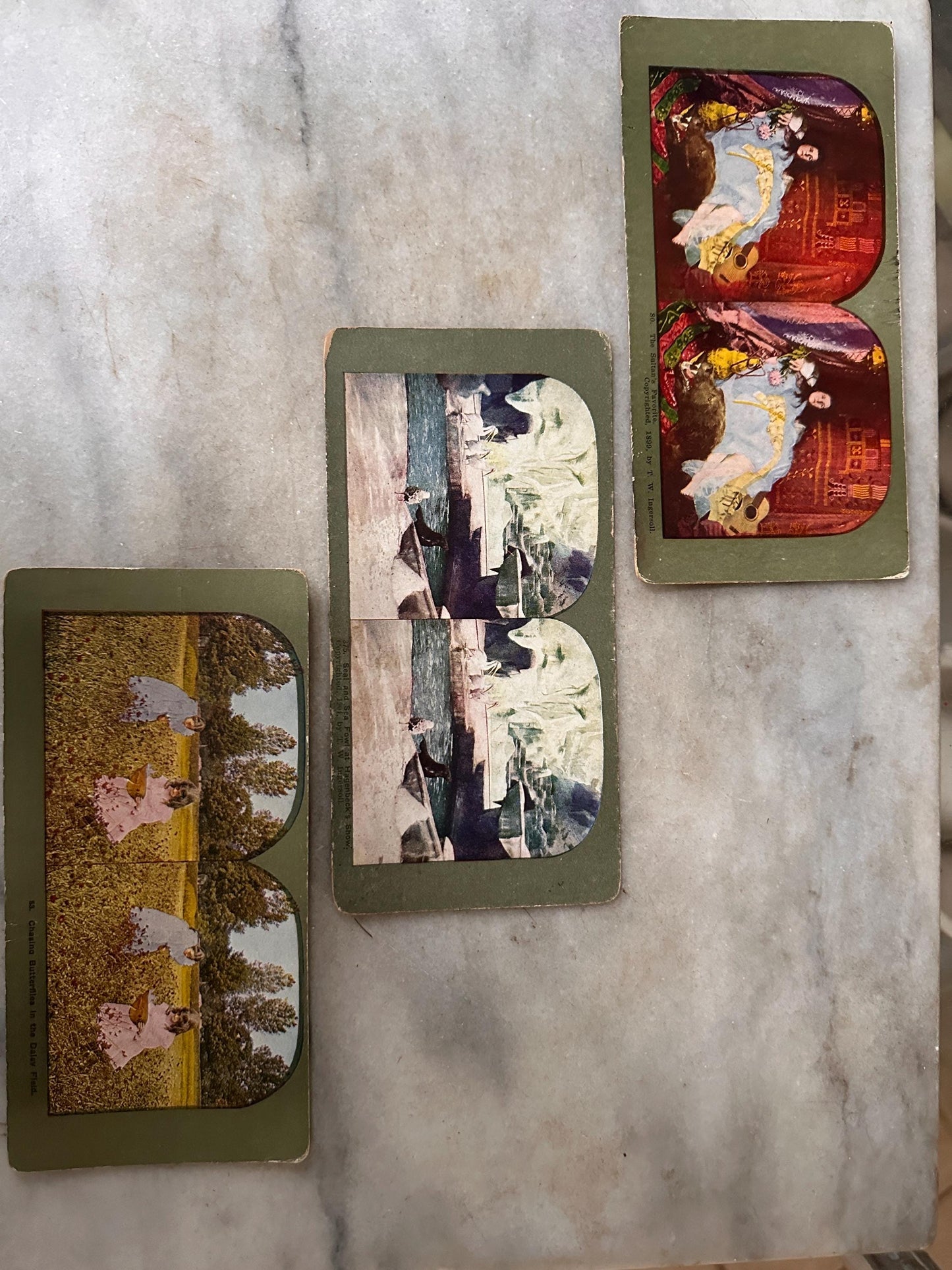 Antique Stereoview Photo Cards Set of 25 | Vintage Stereographs Collection | Early 1900s 3D View Cards | Travel, Scenic & Genre Images