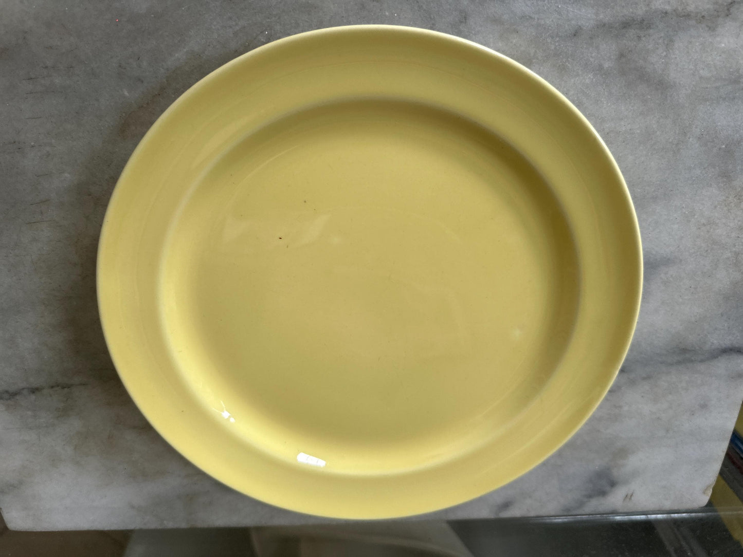 Lu-Ray Pastels Dinner Plates | Set of 2 , Mid-Century Dinnerware, 9.25”, #1248, Pink and Yellow